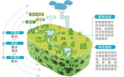 溫州全面推進海綿城市建設 市區建成區25%以上面積今年達到“水彈性”要求，強化自然生態系統保護管理